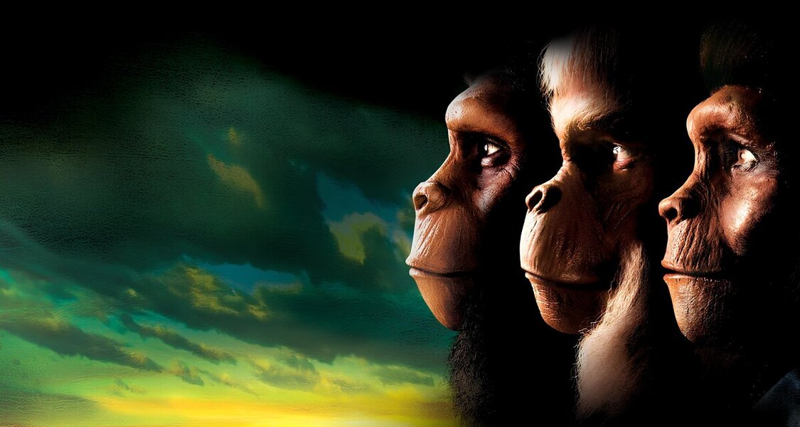 Planet of the Apes poster