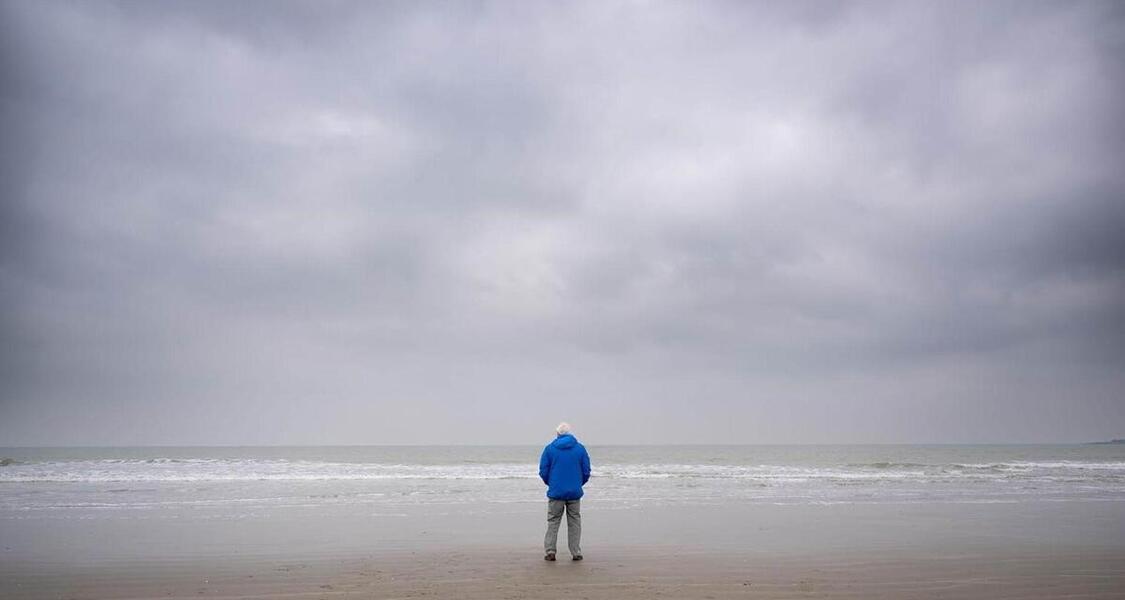 Ocean with David Attenborough poster